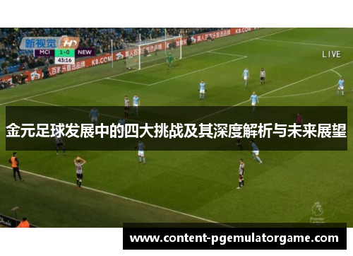 金元足球发展中的四大挑战及其深度解析与未来展望