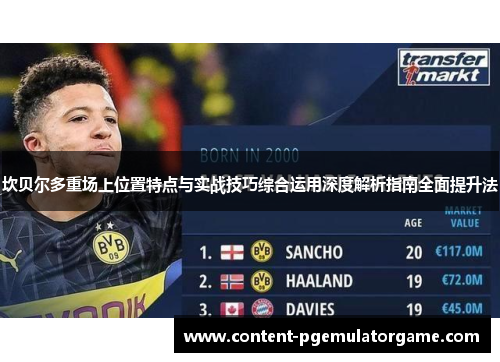 坎贝尔多重场上位置特点与实战技巧综合运用深度解析指南全面提升法